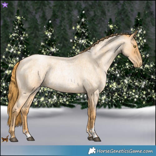 Horse Color:Red Roan Pearl and Red Roan Pearl