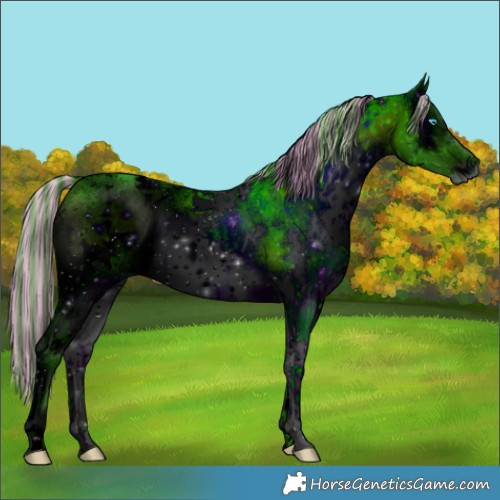 Horse Color:ERROR: UNKNOWN ANOMALY