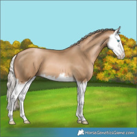 Horse Color:Chocolate Palomino Pearl Splash
