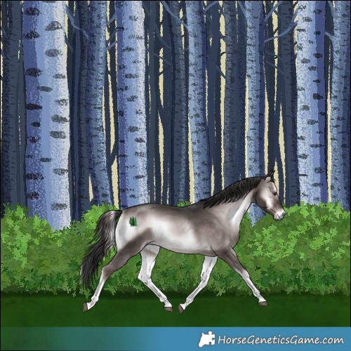 Horse Color:Platinum White Spotted Liver Red Onyx Rabicano