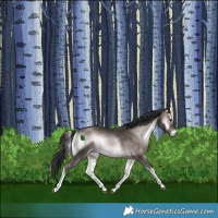 Horse Color:Platinum White Spotted Liver Red Onyx Rabicano