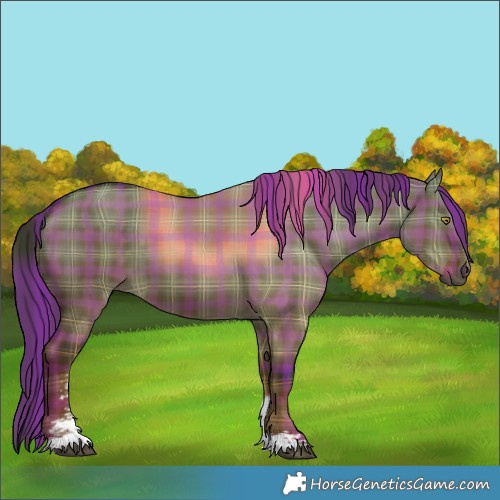 Horse Color:Plaid  Liver Red Dun Sabino Rabicano 