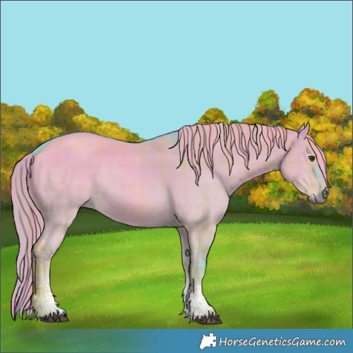 Horse Color:Watercolor Plaid  Liver Red Dun Sabino Rabicano 
