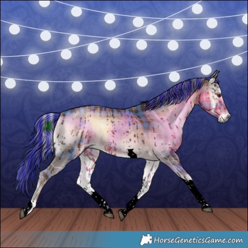 Horse Color:Void Painted Plaid  Liver Red Dun Onyx Sabino Tobiano Brindle 
