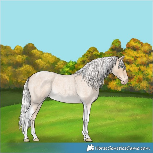 Horse Color:Silver Perlino Roan Tobiano Rabicano 