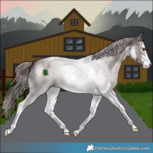 Horse Color:Platinum White Spotted Liver Red Dun Tobiano 
