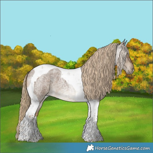 Horse Color:Chocolate Palomino Roan Tobiano 