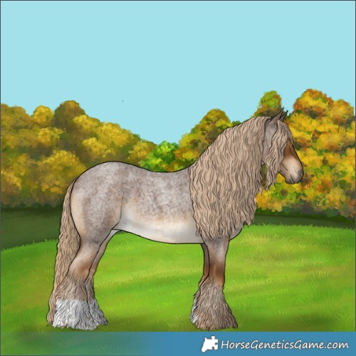 Horse Color:Chocolate Palomino Roan 