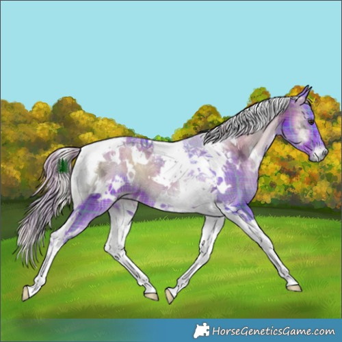 Horse Color:Watercolor Plaid  White Spotted Liver Red Onyx Ice Tobiano Brindle 
