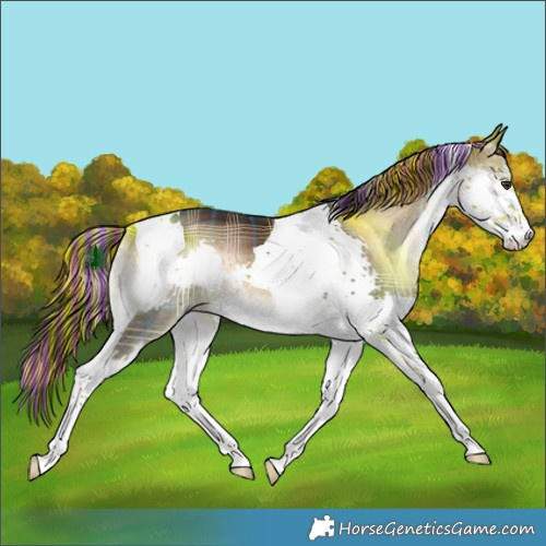 Horse Color:Painted Plaid  White Spotted Liver Red Onyx Splash Tobiano Brindle 