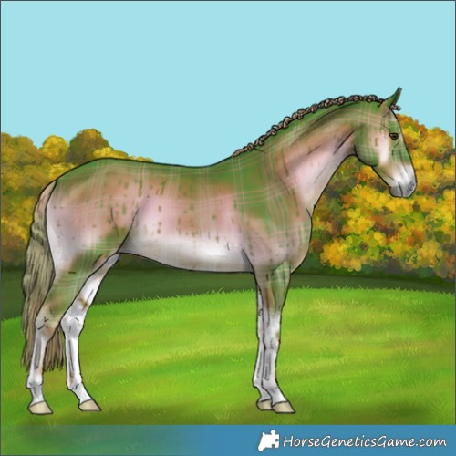 Horse Color:Watercolor Plaid  White Spotted Liver Red Onyx 