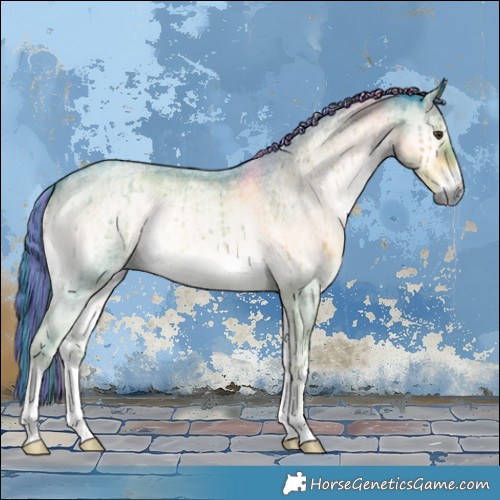 Horse Color:Painted Watercolor White Spotted Liver Red Dun Roan Onyx Brindle 