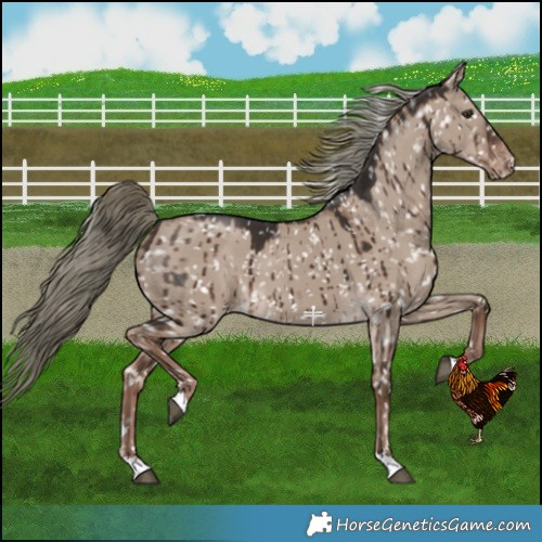 Horse Color:Liver Red Dun Mushroom Snowflake VarnishBrindle 
