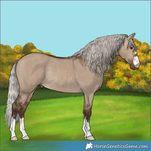 Horse Color:Silver Bay Dun Rabicano 