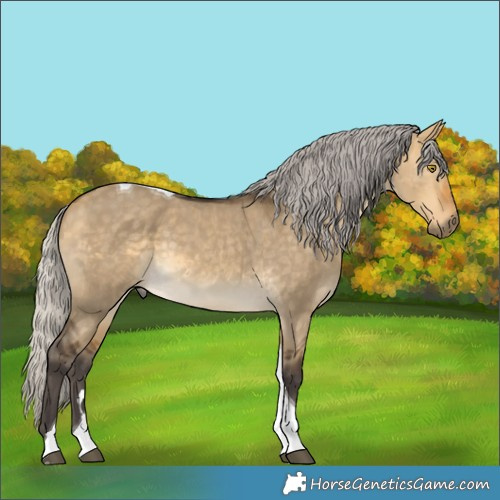 Horse Color:Silver Buckskin Dun Tobiano 