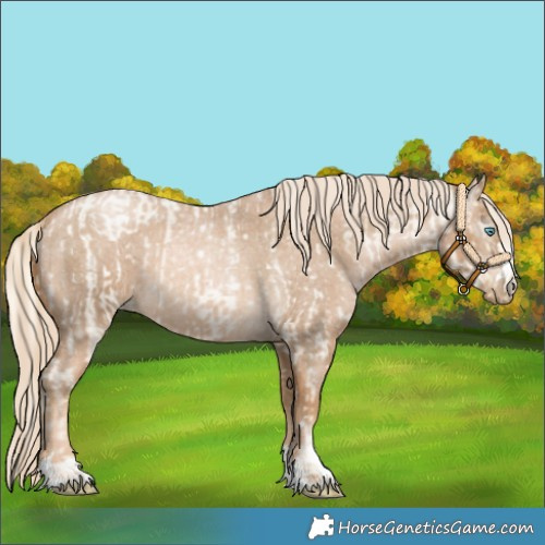 Horse Color:Palomino Roan Pearl  and Gray Palomino Roan Pearl 