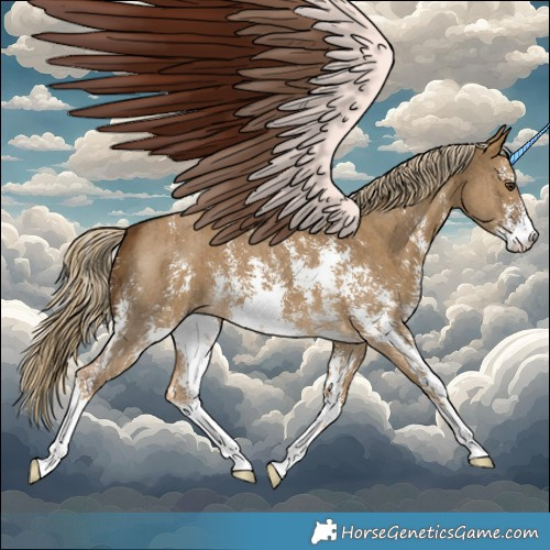 Horse Color:Chocolate Palomino Dun Sabino Brindle 