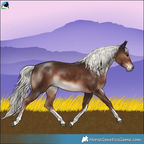 Horse Color:White Spotted Liver Chestnut Mushroom Rabicano 
