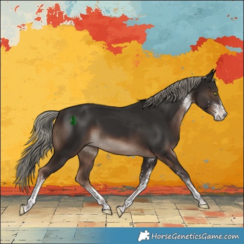 Horse Color:White Spotted Liver Chestnut Mushroom Rabicano