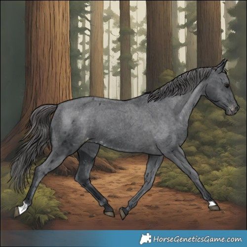 Horse Color:Black Skewed LP Spotted