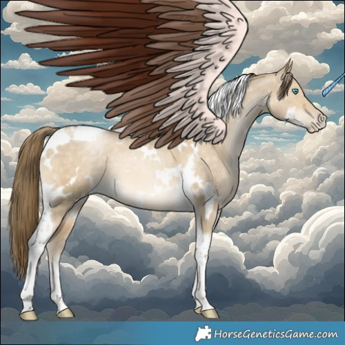 Horse Color:White Spotted Brown Snowdrop Pearl Dun Tobiano Brindle 