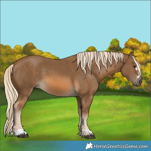 Horse Color:Chocolate Palomino and Chocolate Palomino