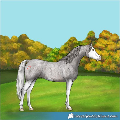Horse Color:Silver Brown Roan Splash 