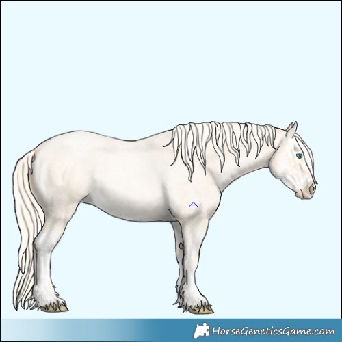 Horse Color:Palomino Roan Pearl  and Palomino Roan Pearl Splash 