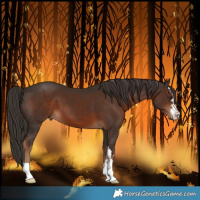 Horse Color:Liver Chestnut