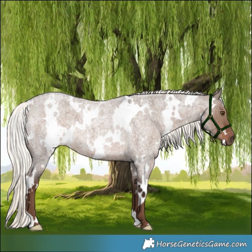 Horse Color:White Spotted Liver Red Dun Roan Mushroom 