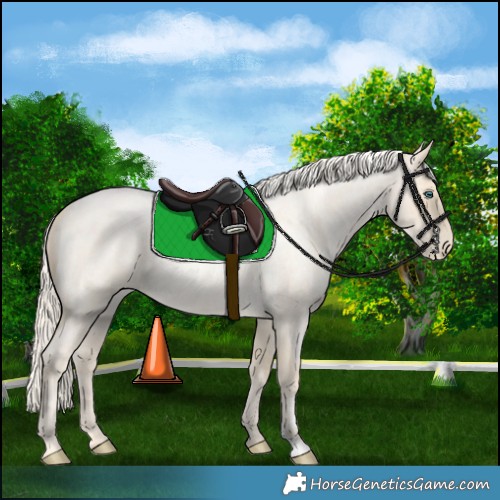 Horse Color:Palomino Roan Pearl  and Palomino Roan Pearl 