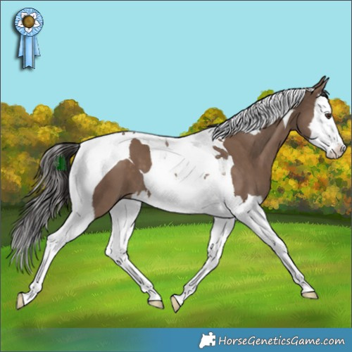 Horse Color:Liver Red Dun Splash Tobiano