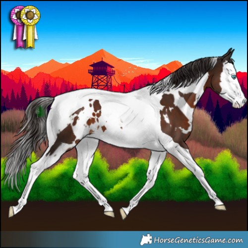 Horse Color:White Spotted Liver Chestnut Splash Tobiano 