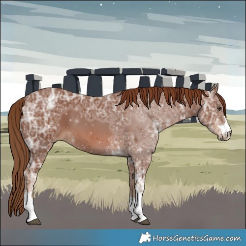 Horse Color:Chestnut Ice