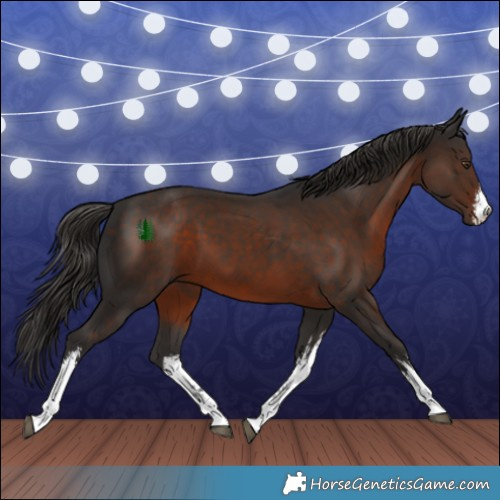 Horse Color:White Spotted Liver Chestnut 