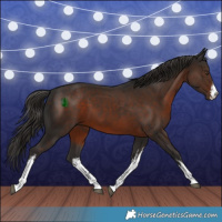Horse Color:White Spotted Liver Chestnut