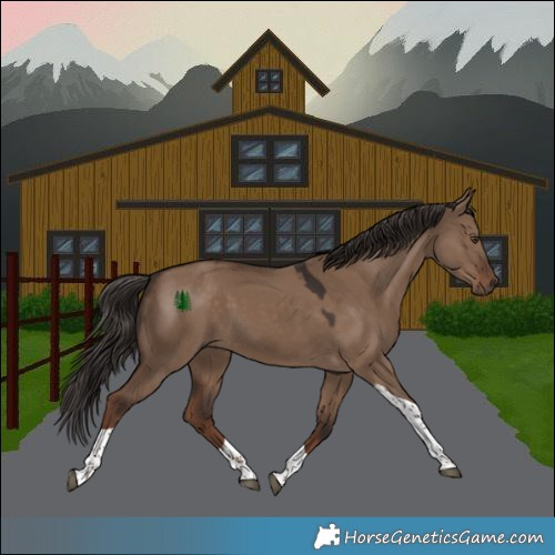 Horse Color:Liver Red Dun Tobiano 