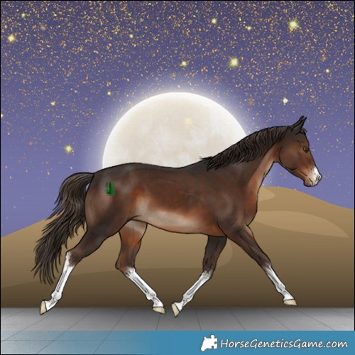 Horse Color:White Spotted Liver Chestnut 