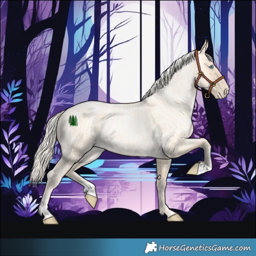 Horse Color:Palomino Roan Pearl  and Palomino Roan Pearl 