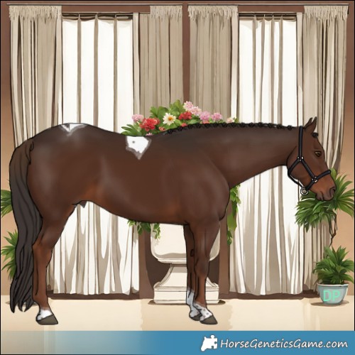Horse Color:Liver Chestnut Tobiano 