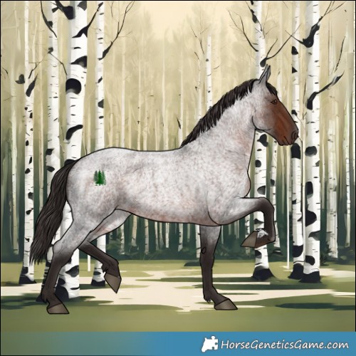 Horse Color:Liver Red Roan Rabicano 