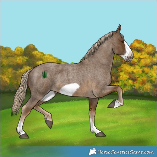 Horse Color:Chocolate Palomino Roan Sabino Frame 