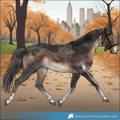 Horse Color:White Spotted Brown Merle