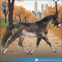 Horse Color:White Spotted Brown Merle