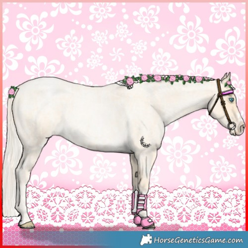 Horse Color:Palomino Roan Pearl and Palomino Roan Pearl Splash