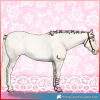 Horse Color:Palomino Roan Pearl  and Palomino Roan Pearl Splash 