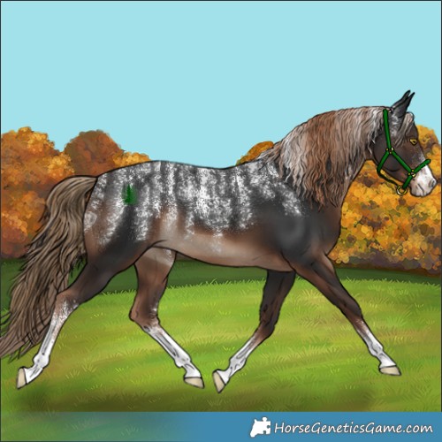Horse Color:Powder White Liver Chestnut 