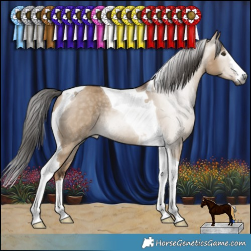 Horse Color:Gray White Spotted Liver Red Dun Tobiano Rabicano 