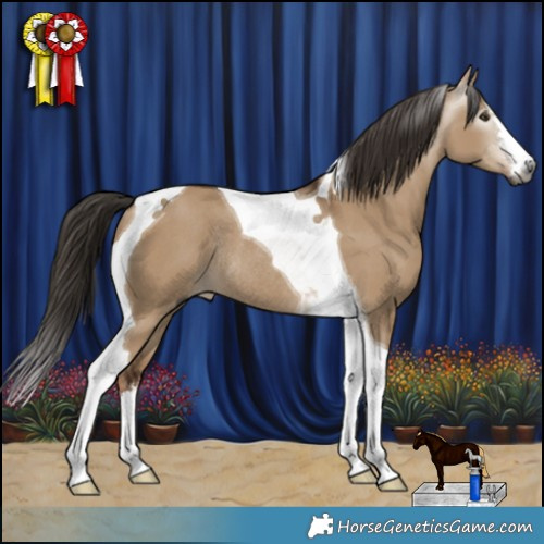 Horse Color:Gray White Spotted Liver Red Dun Tobiano Rabicano 