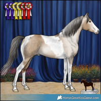 Horse Color:Gray White Spotted Liver Red Dun Tobiano Rabicano